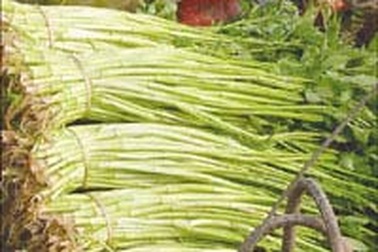 Rau càng ngon, càng đáng sợ!