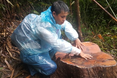 Lâm tặc “xéo nát” ngọn núi làng Klot