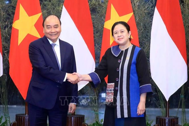 Chủ tịch nước hội kiến Chủ tịch Quốc hội Indonesia