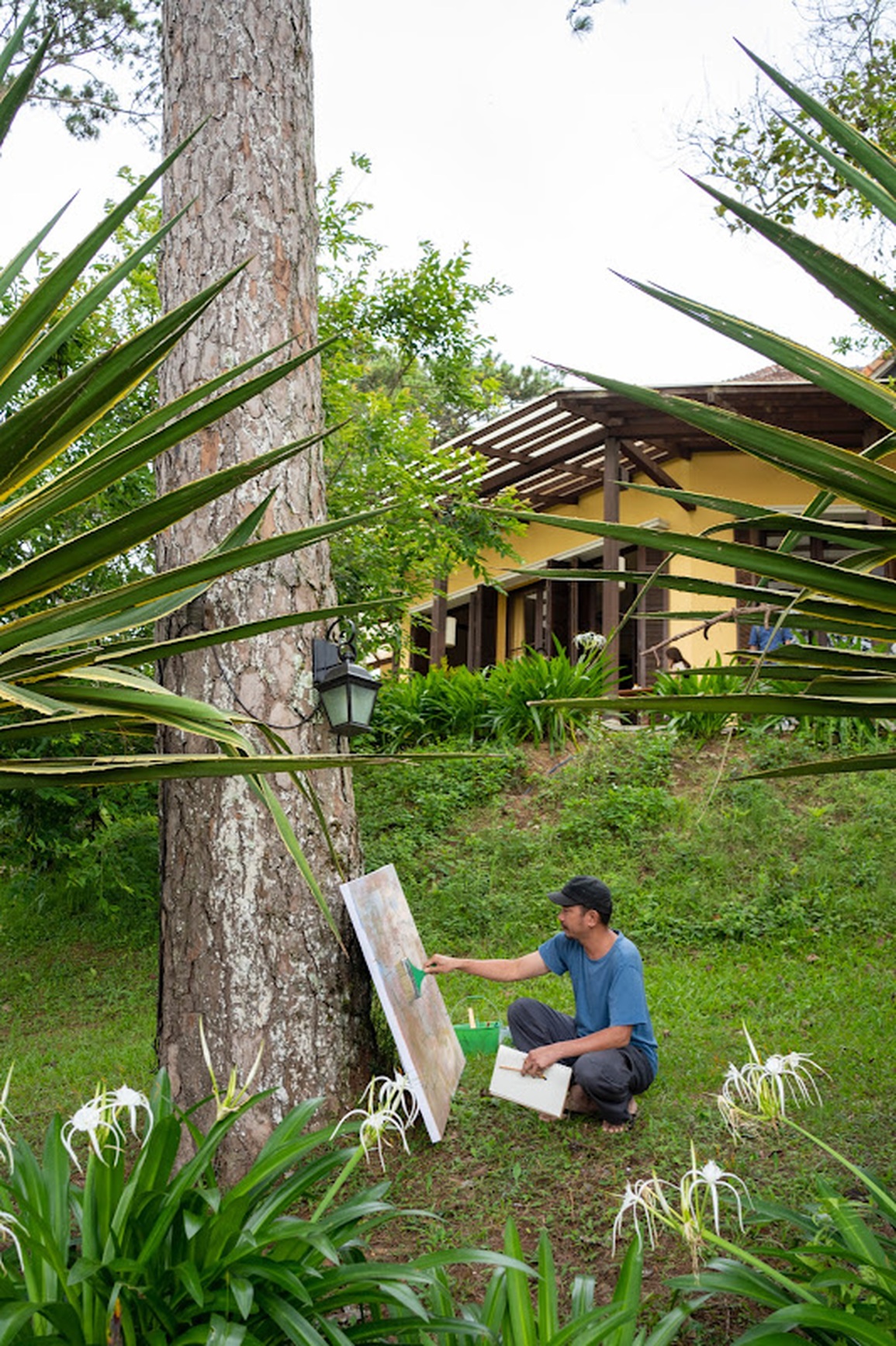 Triển lãm Mây Đông Dương tại Đà Lạt mộng mơ - 4 Triển lãm Mây Đông Dương tại Đà Lạt mộng mơ - 4