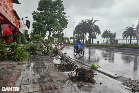 Bão số 2 vào ven biển Quảng Ninh - Hải Phòng