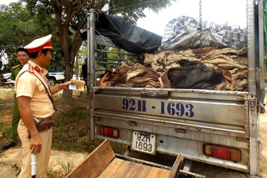 Khi CSGT tham gia bắt lâm tặc, ma túy, hàng lậu…