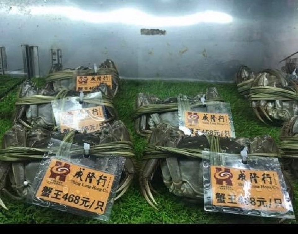 Loại cua “nhà giàu” bán tràn lan chỉ từ 45.000 đồng/con, tiểu thương “tiết lộ” sự thật - 3 Loại cua “nhà giàu” bán tràn lan chỉ từ 45.000 đồng/con, tiểu thương “tiết lộ” sự thật - 3