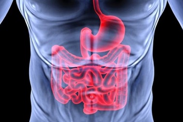 Khám phá khả năng kỳ diệu của con người