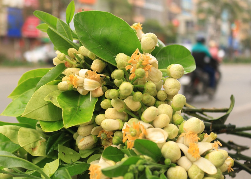 Chủ quán phát tài nhờ Rằm tháng Giêng: Bán hết 2 vạn bánh bao, 500 con gà - 4 Chủ quán phát tài nhờ Rằm tháng Giêng: Bán hết 2 vạn bánh bao, 500 con gà - 4