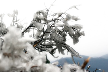 Băng tuyết trắng muốt vùng cao Hà Giang