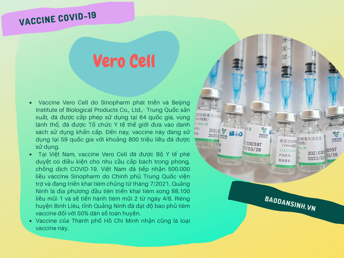 Các loại vaccine đã được cấp phép tại Việt Nam - Ảnh 3.