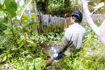 Đất đang tranh chấp vẫn được xem xét cấp sổ đỏ