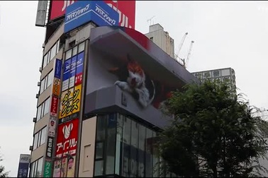 Người qua đường giật mình vì "mèo khổng lồ" xuất hiện trên tòa nhà