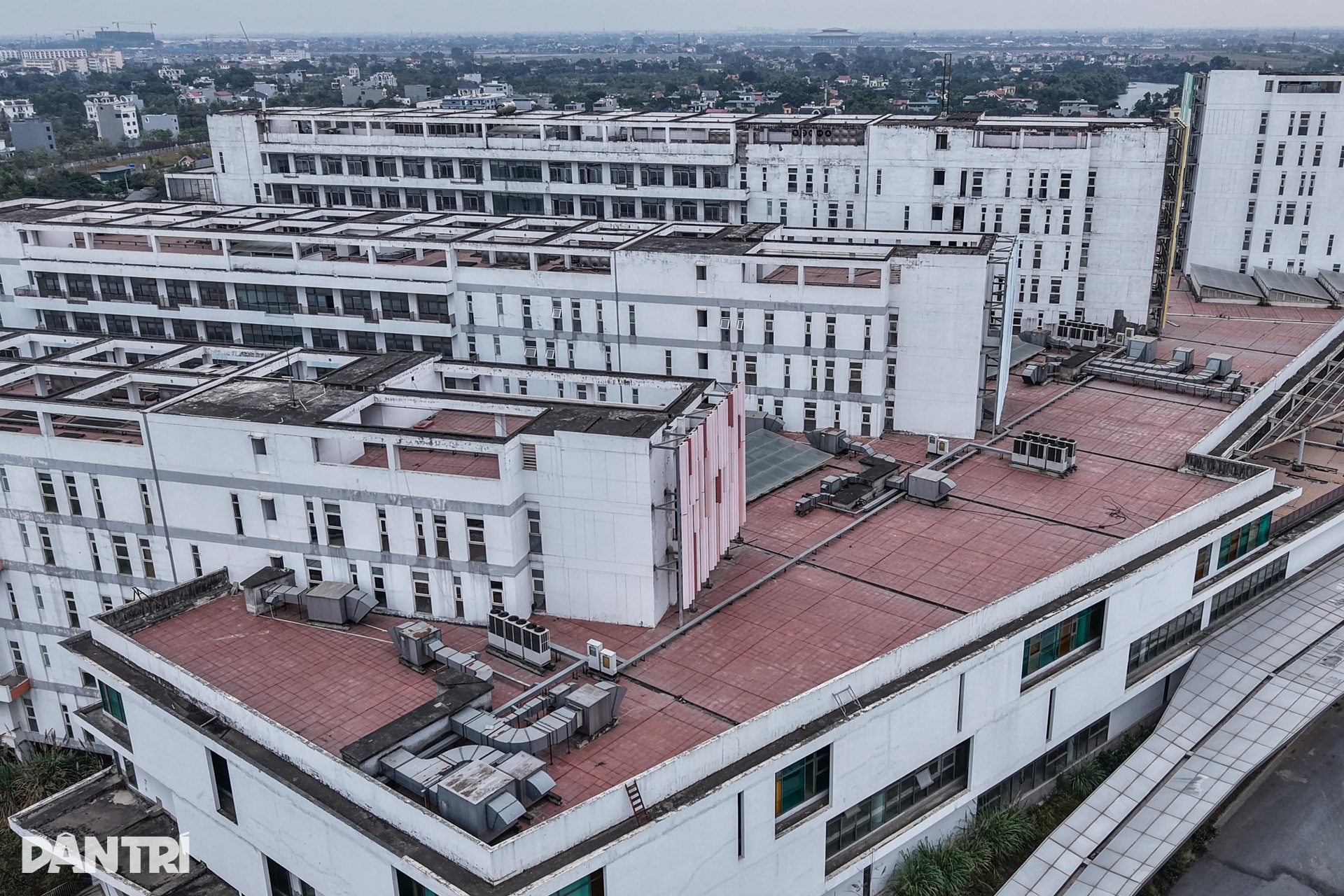 Bệnh viện Việt Đức, Bạch Mai cơ sở 2 cỏ mọc um tùm, cao quá đầu người - 12 Bệnh viện Việt Đức, Bạch Mai cơ sở 2 cỏ mọc um tùm, cao quá đầu người - 12