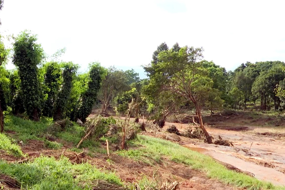 Tan hoang sau vụ vỡ tường đập thủy điện - 8 Tan hoang sau vụ vỡ tường đập thủy điện - 8