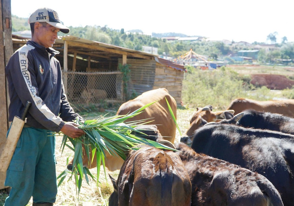 Vốn chính sách hỗ trợ đồng bào dân tộc thiểu số thoát nghèo - 1 Vốn chính sách hỗ trợ đồng bào dân tộc thiểu số thoát nghèo - 1