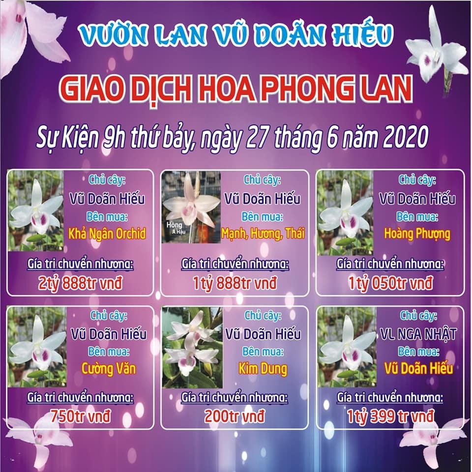 Phiên chợ hoa lan Bạch Tuyết 8 tỷ đồng, xôn xao dân chơi đất Bắc - 1 Phiên chợ hoa lan Bạch Tuyết 8 tỷ đồng, xôn xao dân chơi đất Bắc - 1