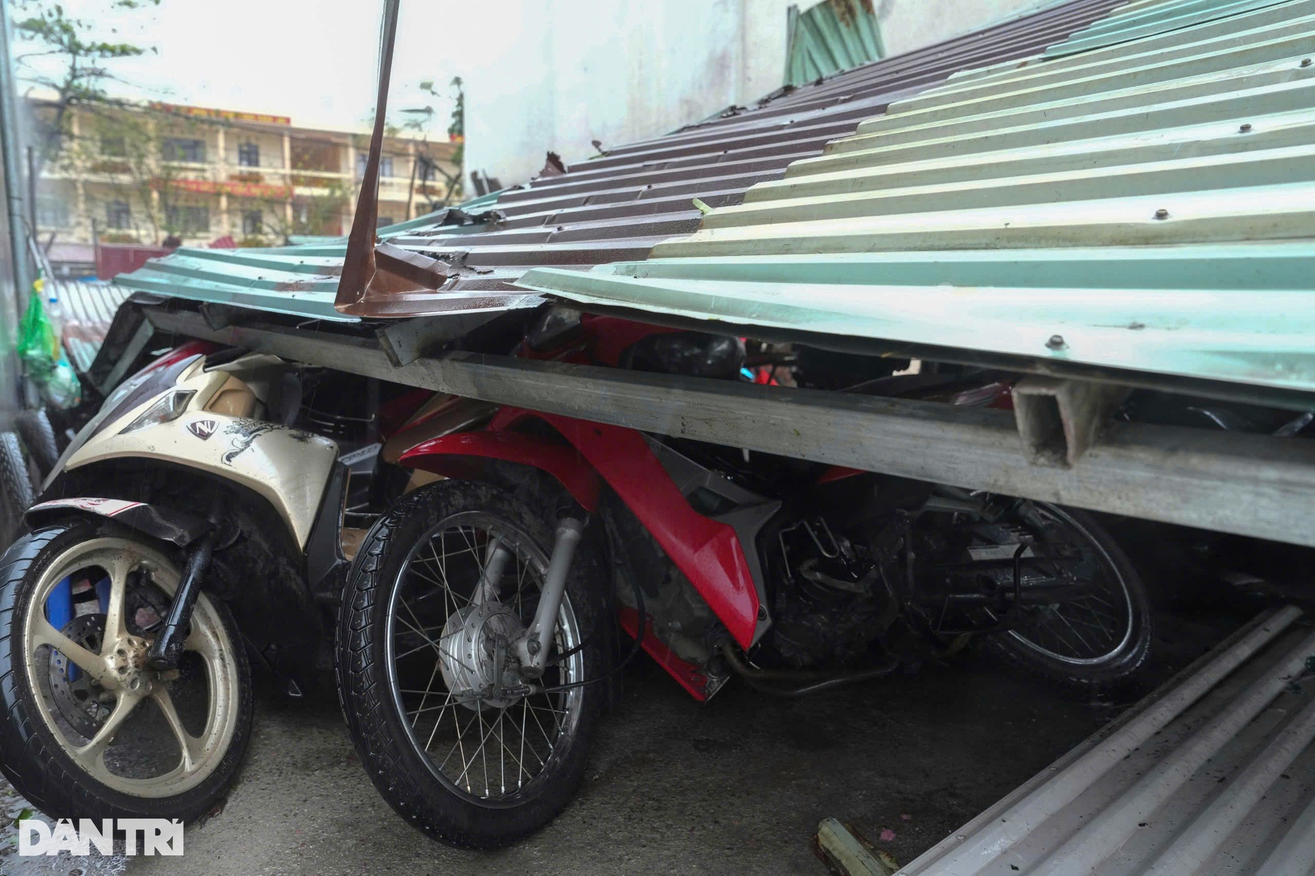 TP Hạ Long: Nhiều tàu thuyền bị đắm, đường phố tan hoang khi bão quét qua - 6 TP Hạ Long: Nhiều tàu thuyền bị đắm, đường phố tan hoang khi bão quét qua - 6