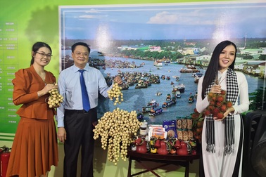 Liên kết để kích cầu du lịch TP HCM và ĐBSCL