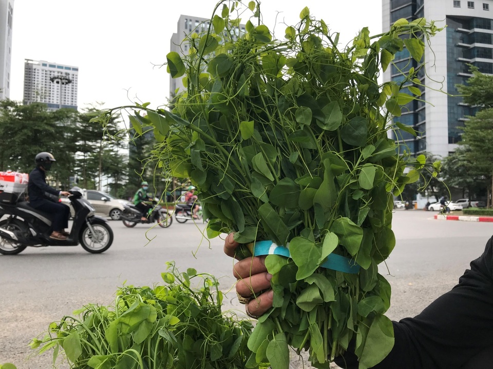 Rau dại bờ bụi miền Tây đi chuyên cơ ra Hà Nội thành đặc sản hạng sang - 3 Rau dại bờ bụi miền Tây đi chuyên cơ ra Hà Nội thành đặc sản hạng sang - 3