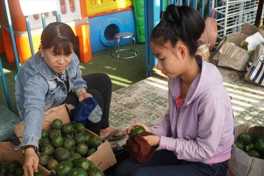 Nhiều trường tư có thể đóng cửa, hàng nghìn giáo viên mất việc vì Covid-19