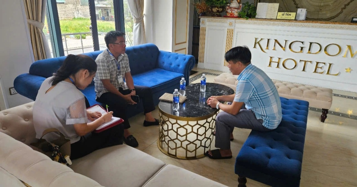 dantri.com.vn