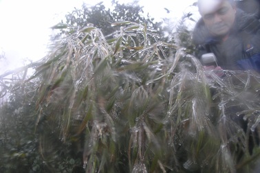 Sa Pa lạnh 1,9 độ C, đèo Ô Quý Hồ xuất hiện băng tuyết