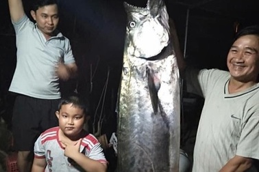 Xôn xao câu chuyện cần thủ tóm gọn con cá "khủng" bơi lạc vào bờ