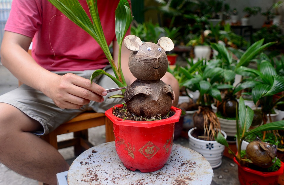 Bonsai hình chuột.jpg Bonsai hình chuột.jpg