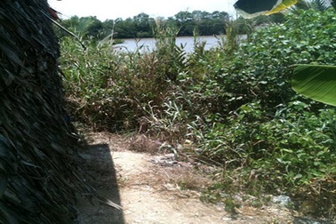 Xuất hiện “nội y... tặc”