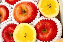 Tiết lộ về loại táo trong như mật ong, nhà giàu đổ tiền tỷ mua ăn