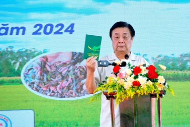 Lễ hội lúa rươi ở Hải Dương đã truyền cảm hứng cách làm nông nghiệp hữu cơ