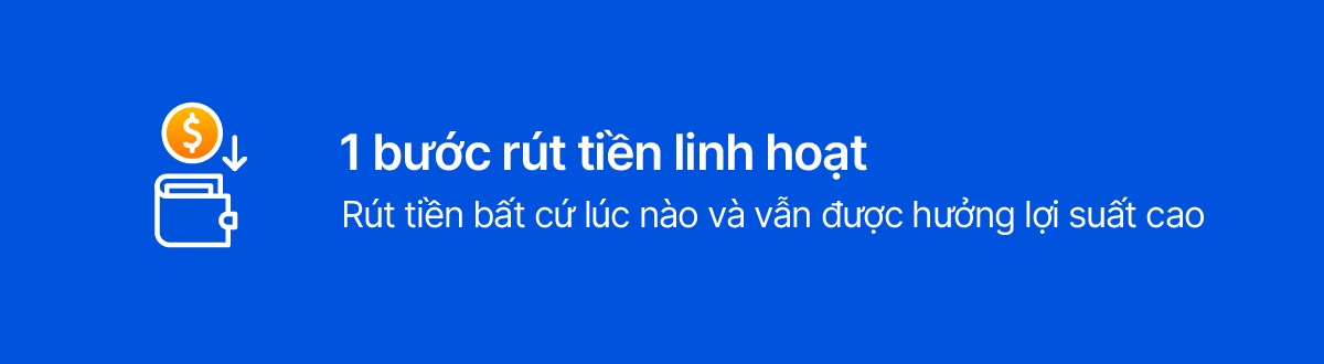 Phó tổng VIB: Khách hàng cần được giúp khai phóng tối đa sức mạnh dòng tiền - 4 Phó tổng VIB: Khách hàng cần được giúp khai phóng tối đa sức mạnh dòng tiền - 4