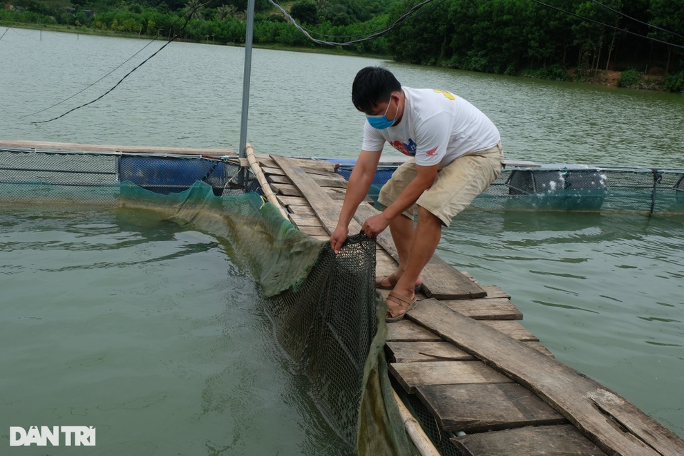 Chuyện thoát nghèo ở huyện miền núi Thanh Hóa - 1 Chuyện thoát nghèo ở huyện miền núi Thanh Hóa - 1