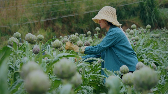 Cuộc sống bình dị vạn người mơ của cô gái làm nhà gỗ, trồng rau ở Đà Lạt - 9