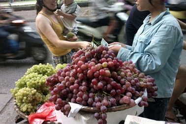 Bán nho Mỹ "dỏm" thu nhập ngang... giám đốc