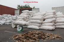 Phát hiện hơn 8 tấn vảy tê tê nhập lậu về cảng