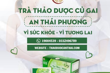 Phương pháp hỗ trợ an thai lành tính từ thảo dược củ gai