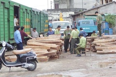 Truy tố nguyên 3 cán bộ hải quan trong đường dây buôn lậu gỗ