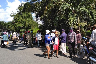 Phát hiện một thi thể đang phân hủy treo trên cây