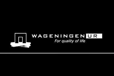 Bẫy bắt muỗi sử dụng năng lượng mặt trời