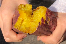 Ăn khoai lang cả vỏ: Vô vàn lợi ích với tim mạch, hệ tiêu hóa