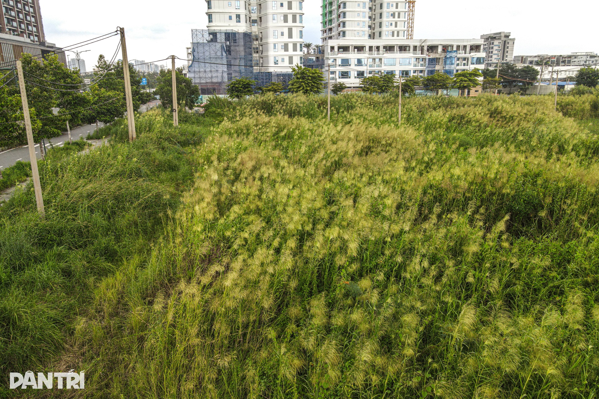 Cận cảnh dự án nghìn tỷ của Tân Hoàng Minh giờ qua tay hai ngân hàng - 14