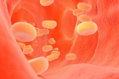 Tăng cholesterol máu - bạn đồng hành của bệnh tim mạch  