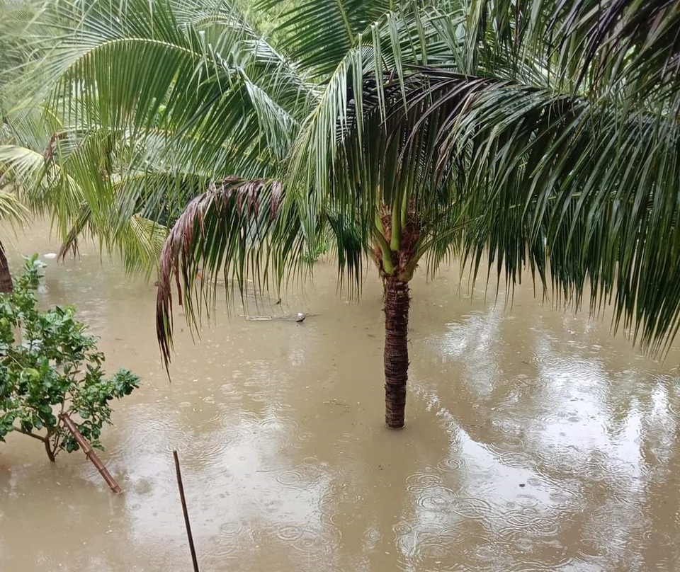 Ninh Thuận mưa lớn ngập lụt nhiều nơi - 1 Ninh Thuận mưa lớn ngập lụt nhiều nơi - 1