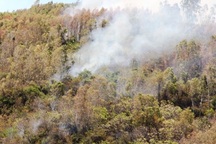 Cháy rừng bạch đàn, đạn nổ đì đùng