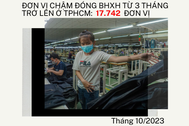 TPHCM: Hơn 17.000 đơn vị chậm đóng BHXH kéo dài