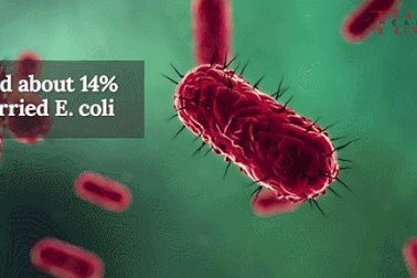 Video: Khăn tắm bẩn hơn bạn nghĩ!