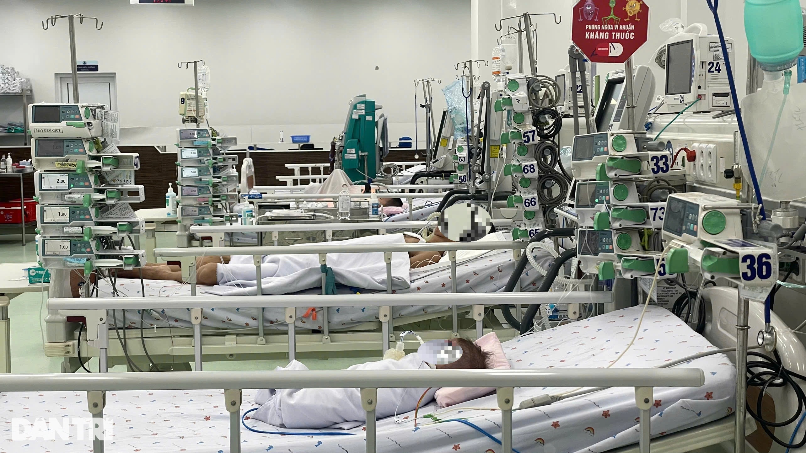 Mất máu ồ ạt khi bị sốt xuất huyết, bé gái phải truyền 10 lít máu - 2
