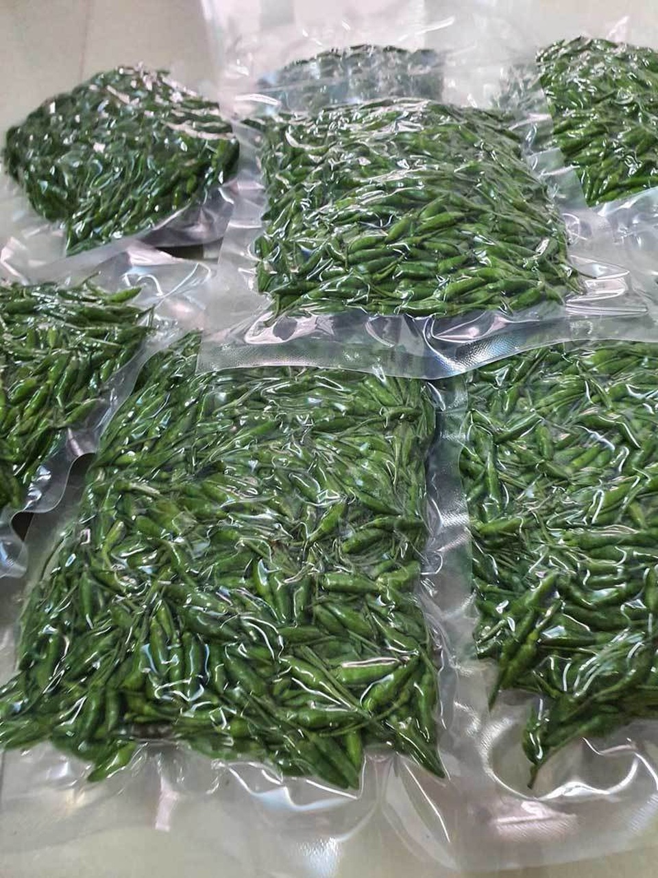 Loại ớt gió thơm mùi thảo mộc, 1 triệu đồng/kg vẫn đắt khách - 2 Loại ớt gió thơm mùi thảo mộc, 1 triệu đồng/kg vẫn đắt khách - 2