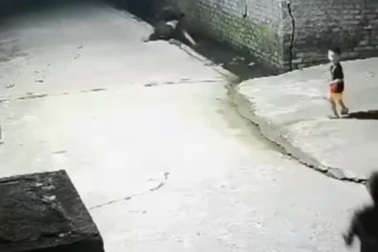 Em bé 4 tuổi chạy đi gọi người lớn cứu em bị rơi xuống mương nước