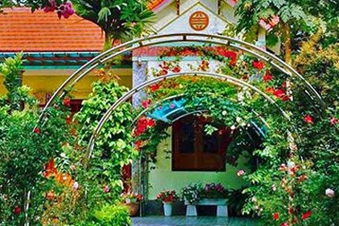 Vườn hoa 100 triệu đẹp như tranh của cô giáo dạy Toán