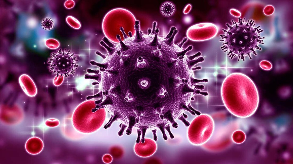 Một số cá nhân đặc biệt nắm giữ “chìa khóa” chữa HIV - 1 Một số cá nhân đặc biệt nắm giữ “chìa khóa” chữa HIV - 1