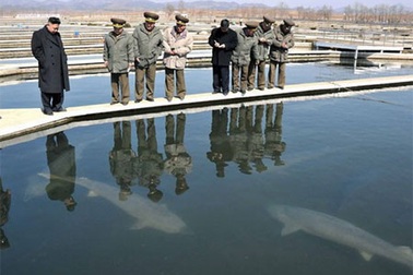 Kim Jong Un thăm trại cá, không có Bộ trưởng Quốc phòng đi cùng